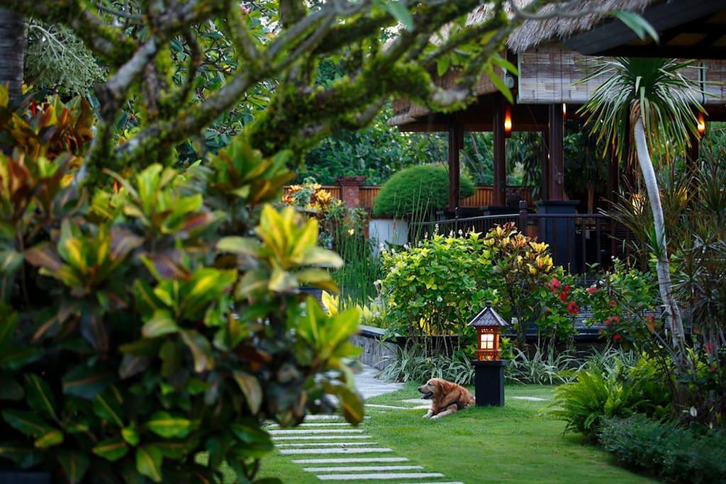 קראמאס Villa L'Orange Bali חדר תמונה